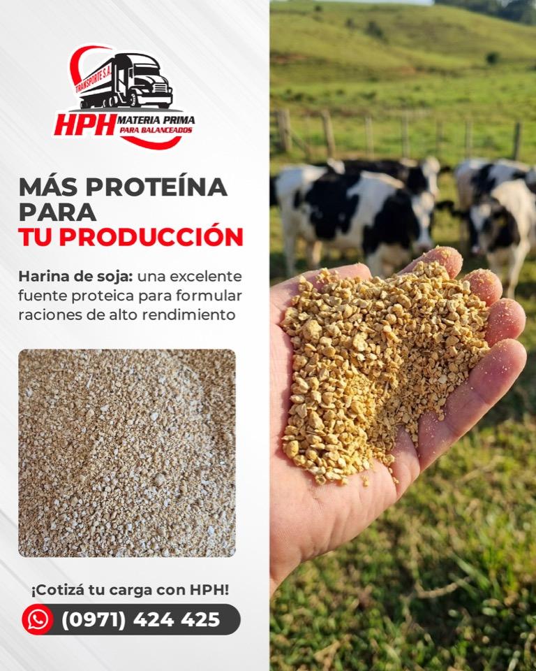 Harina de soja de HPH para formular raciones de nutrición animal